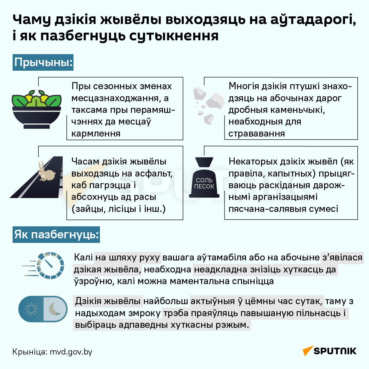 ДТЗ з дзікімі жывёламі: як іх пазбегнуць? - інфаграфіка 2 - Sputnik Беларусь