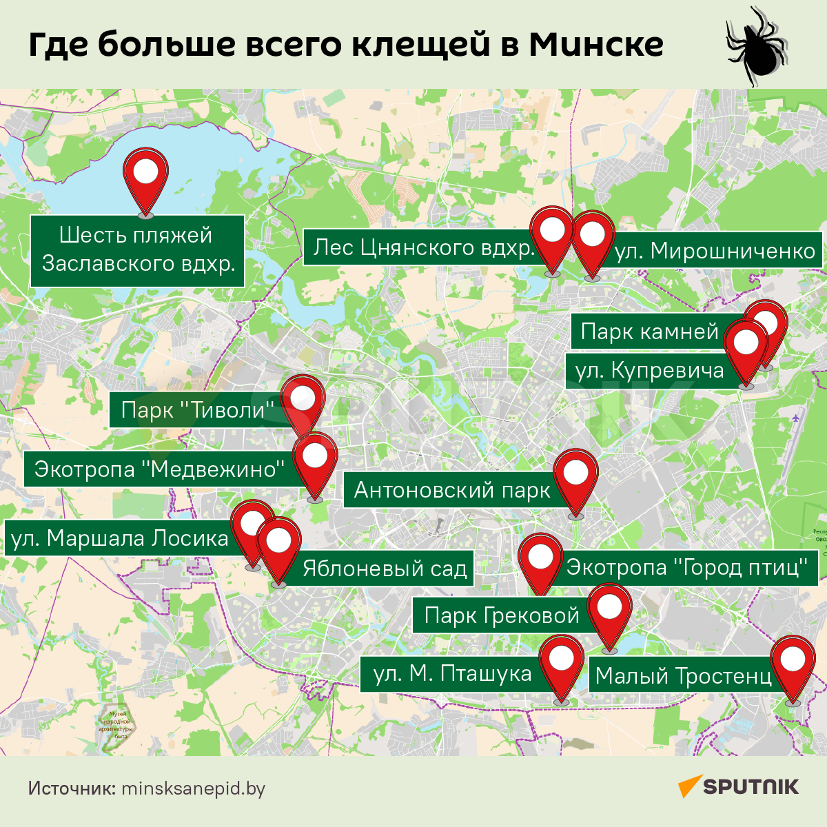 Клещи в Минске – 2023 - Sputnik Беларусь