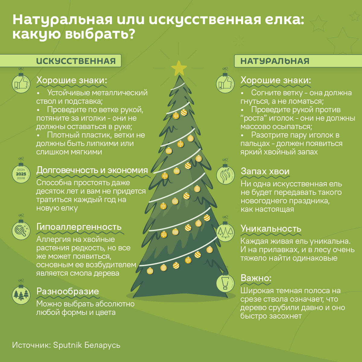 Живая новогодняя елка против искусственной: какую выбрать? - Sputnik Беларусь