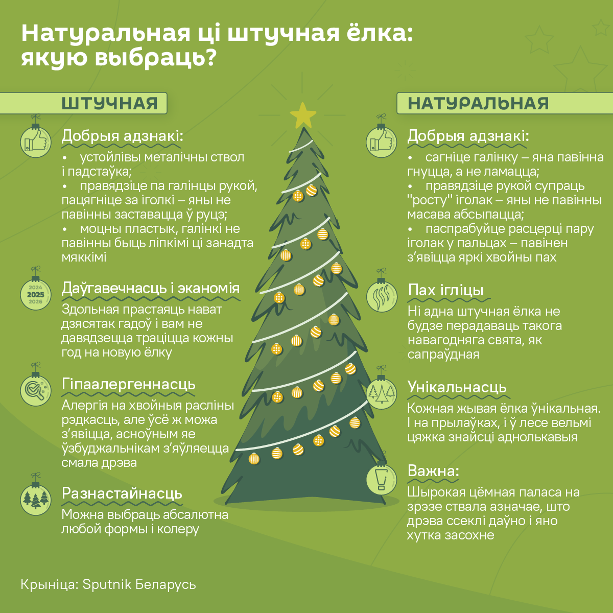 Жывая навагодняя ёлка супраць штучнай: якую выбраць – інфаграфіка - Sputnik Беларусь