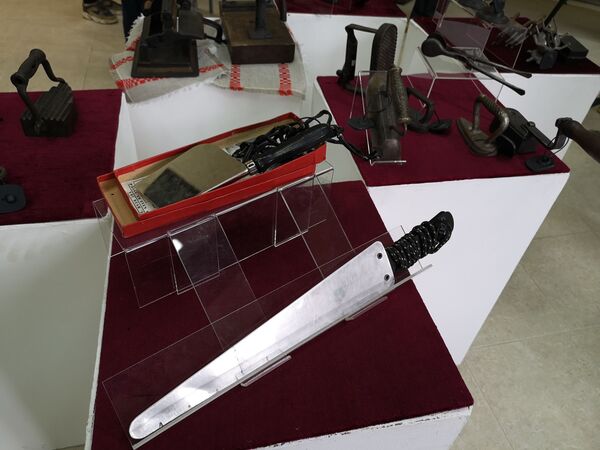 От орудия пыток до незаменимого помощника – в Витебске открыли Музей утюга - Sputnik Беларусь