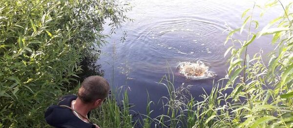 Подросток утонул в субботу в Гомельском районе - Sputnik Беларусь