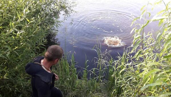 Подросток утонул в субботу в Гомельском районе - Sputnik Беларусь