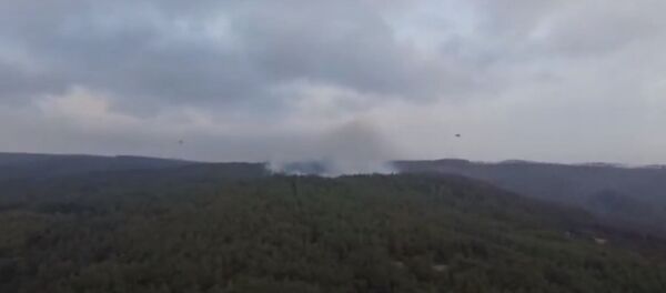 Белорусские спасатели показали, как помогают тушить лесные пожары в Турции Белорусские спасатели показали, как помогают тушить лесные пожары в Турции - Sputnik Беларусь