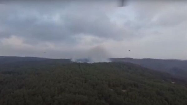 Белорусские спасатели показали, как помогают тушить лесные пожары в Турции - Sputnik Беларусь