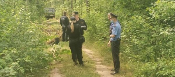 Девочку-подростка убило деревом в Пуховичском районе - Sputnik Беларусь