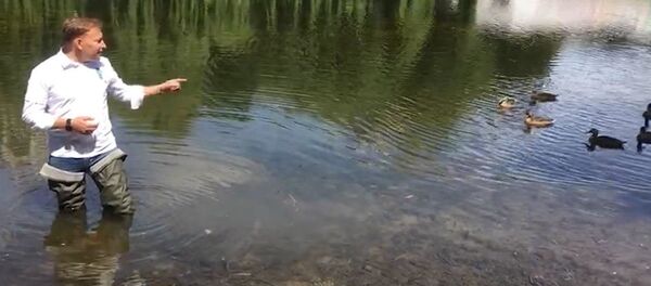 Га-га-га, выбираем: Дмитриев показал, где предлагают агитировать - Sputnik Беларусь