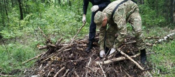 Белоруску убили в Челябинской области - Sputnik Беларусь