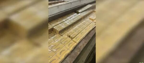 Партию контрабандных сигарет из Беларуси изъяли на границе с Украиной - Sputnik Беларусь