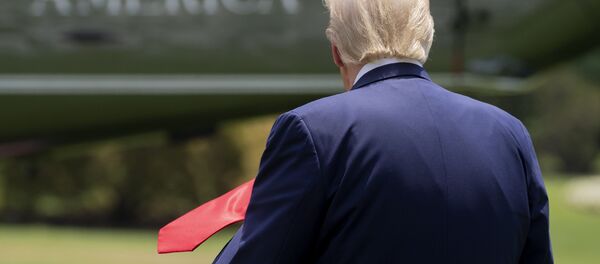 Президент США Дональд Трамп Президент США Дональд Трамп - Sputnik Беларусь