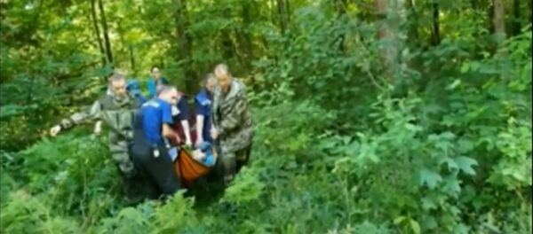 Пенсионерка пошла в лес и исчезла: у нее случился инсульт - Sputnik Беларусь