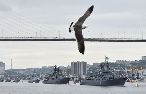 Чайка во время празднования Дня Военно-морского флота во Владивостоке - Sputnik Беларусь