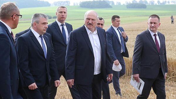 Президент Беларуси Александр Лукашенко во время рабочей поездки в Несвижский район - Sputnik Беларусь