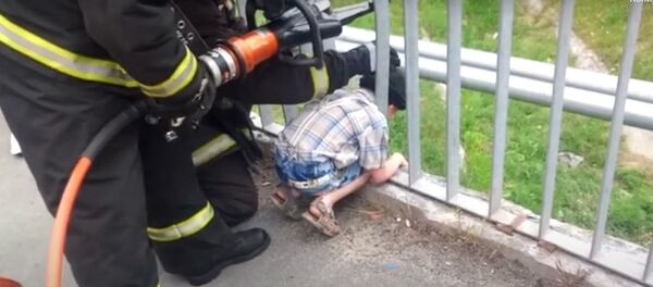 Ребенок застрял головой в перилах моста в Калинковичах - Sputnik Беларусь