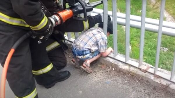 Ребенок застрял головой в перилах моста в Калинковичах - Sputnik Беларусь