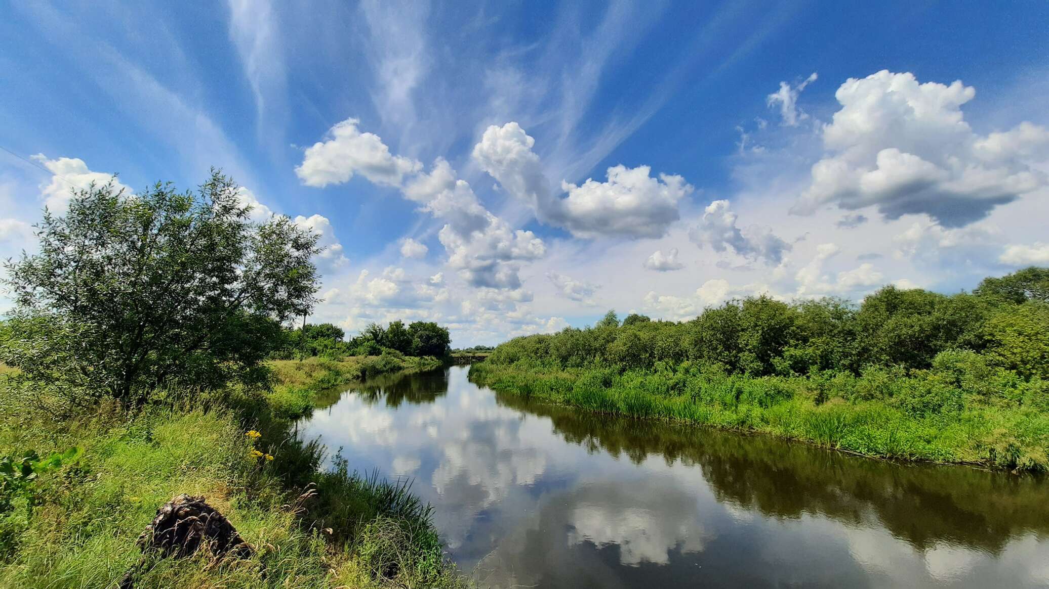 Река беларуси фото