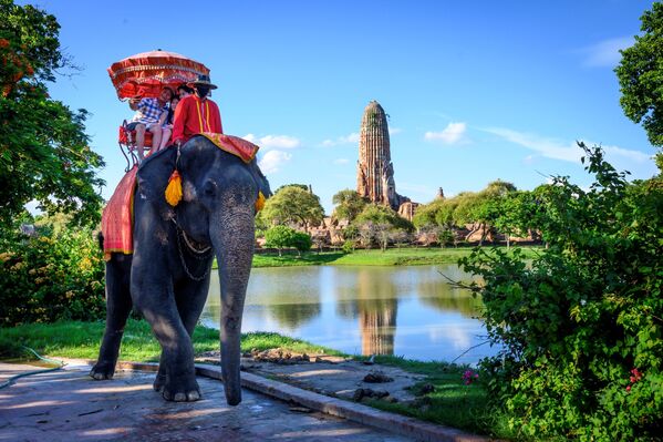 Туристы едут на слоне перед старым буддийским храмом в Аюттхае, примерно в 70 км к северу от Бангкока, Таиланд - Sputnik Беларусь