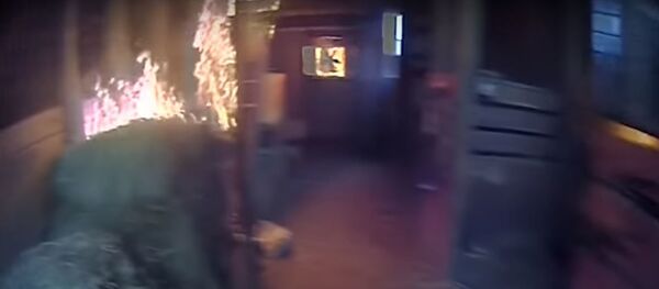 Полицейские в США спасли на пожаре лошадь - Sputnik Беларусь