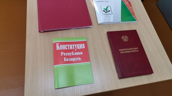 Желающие могут изучить все необходимые документы - от Конституции до Избирательного кодекса - Sputnik Беларусь