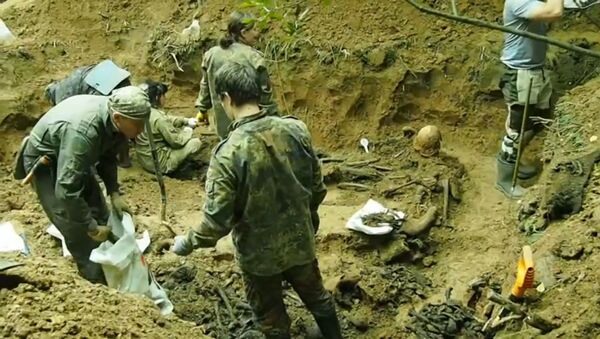 Видеофакт: поисковики обнаружили останки более 250 красноармейцев - Sputnik Беларусь