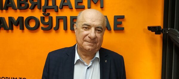 Пожалуйста, говорите правду: Ротман об экзитполах на предстоящих выборах - Sputnik Беларусь