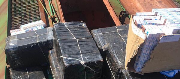 Контрабандный груз - Sputnik Беларусь