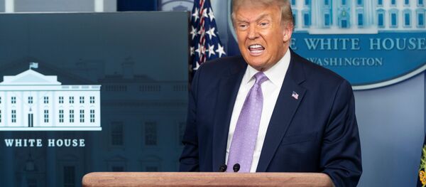 Президент США Дональд Трамп Президент США Дональд Трамп - Sputnik Беларусь