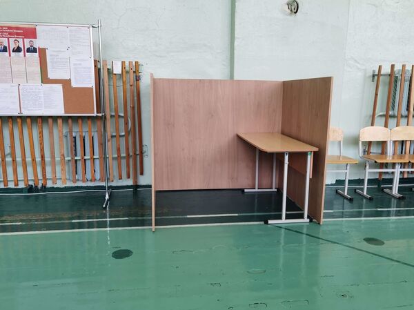 Около 12%: как проходит досрочное голосование в Витебске - Sputnik Беларусь