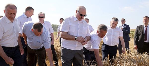 Рабочий визит президента Александра Лукашенко в Минскую область Рабочий визит президента Александра Лукашенко в Минскую область - Sputnik Беларусь