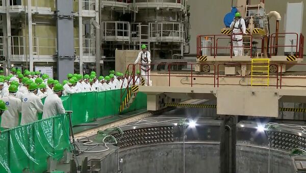 Реактор первого энергоблока БелАЭС загружают ядерным топливом, видео - Sputnik Беларусь