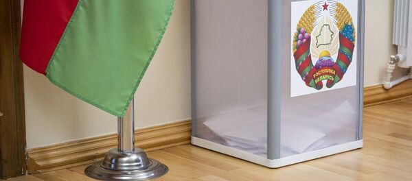 Белорусы могут проголосовать на выборах, находясь в Грузии – видео - Sputnik Беларусь