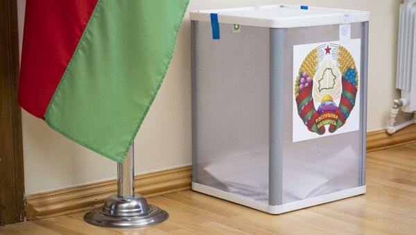 Белорусы могут проголосовать на выборах, находясь в Грузии – видео - Sputnik Беларусь