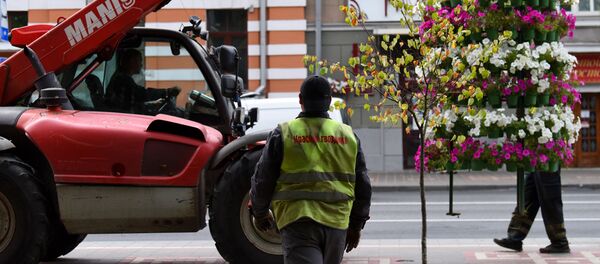 В Гомеле с центральных улиц убирают стены из петуний - Sputnik Беларусь