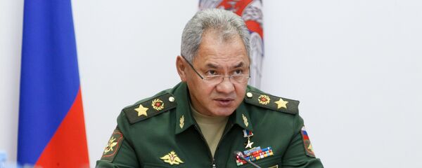Министр обороны РФ Сергей Шойгу - Sputnik Беларусь