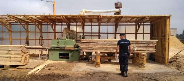 Следователь на месте ЧП - Sputnik Беларусь