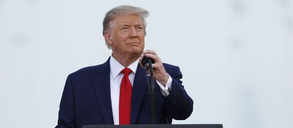 Президент США Дональд Трамп выступает в Вашингтоне на праздновании Дня независимости США. - Sputnik Беларусь