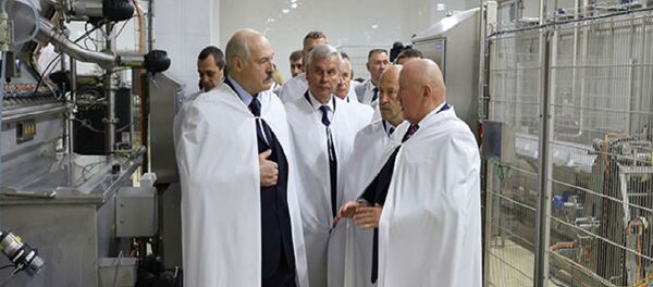 Поездка президента Александра Лукашенко в Оршу - Sputnik Беларусь