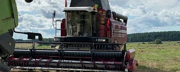 Уборка урожая в Александрии - Sputnik Беларусь