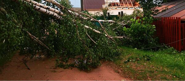 Последствия грозы в Минской области - Sputnik Беларусь