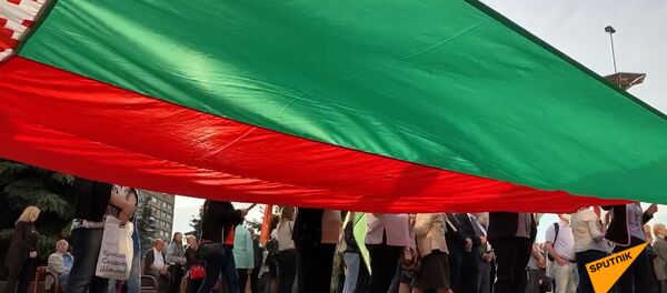 Любимую не отдадим: митинг сторонников Лукашенко у Дворца железнодорожников - Sputnik Беларусь