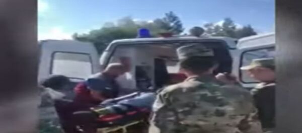 Пропавшую в понедельник школьницу нашли в лесу без сознания - Sputnik Беларусь