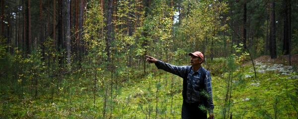 Сбор и заготовка грибов Сбор и заготовка грибов - Sputnik Беларусь