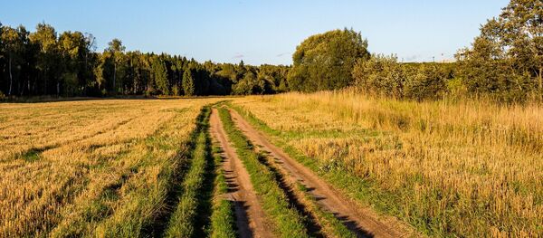 Дорога в поле - Sputnik Беларусь