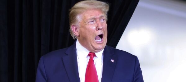 Президент США Дональд Трамп Президент США Дональд Трамп - Sputnik Беларусь