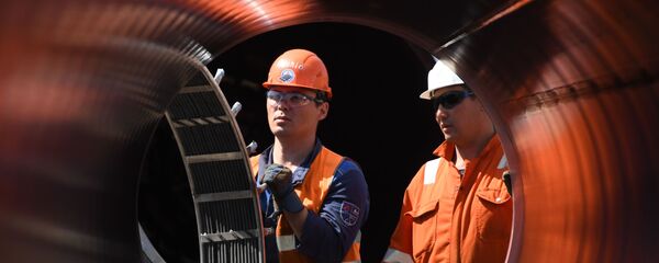 Рабочие на участке строительства газопровода Северный поток-2 в Ленинградской област Рабочие на участке строительства газопровода Северный поток-2 в Ленинградской област - Sputnik Беларусь