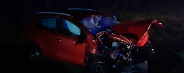 Под Минском в автокатастрофе с участием лося погибли три человека - Sputnik Беларусь