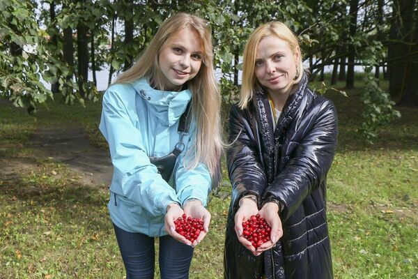 Мала гандляроў, шмат турыстаў: як прайшло традыцынае свята журавін на Міёршчыне - Sputnik Беларусь
