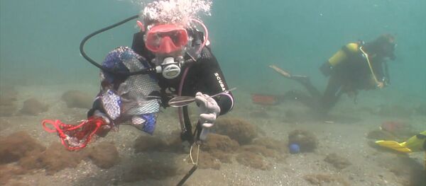 Маски, перчатки, одежда и даже забор: что волонтеры поднимают со дна моря - Sputnik Беларусь