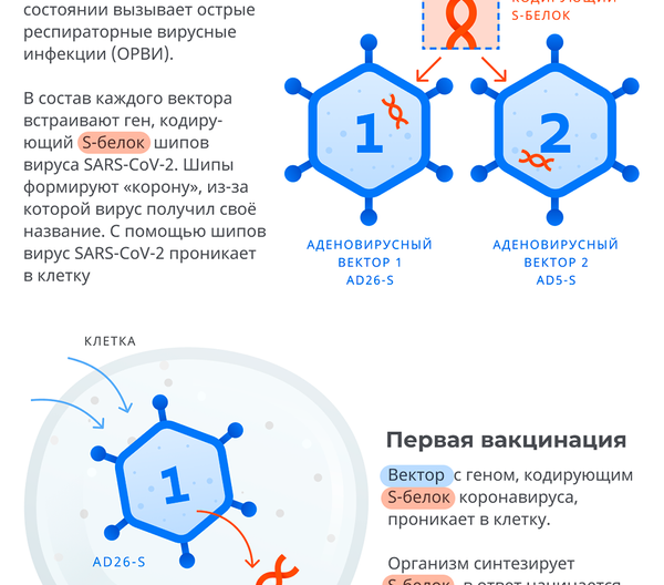 Спутник V: российская вакцина от COVID-19 Спутник V: российская вакцина от COVID-19 - Sputnik Беларусь