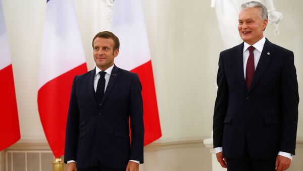 Президент Франции Эммануэль Макрон и президент Литвы Гитанас Науседа  - Sputnik Беларусь
